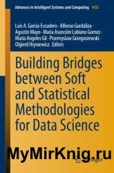 Building Bridges between Soft and Statistical Methodologies for Data Science