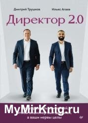 Директор 2.0. Как управлять компанией, чтобы акционер был доволен, а ваши нервы целы