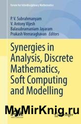Synergies in Analysis, Discrete Mathematics, Soft Computing and Modelling