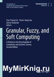 Granular, Fuzzy, and Soft Computing