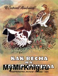 Как весна на север пришла