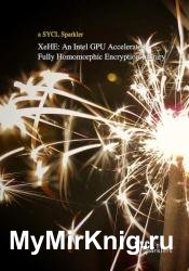 XeHE: an Intel GPU Accelerated Fully Homomorphic Encryption Library