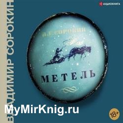 Метель (Аудиокнига) декламатор Литвинов Иван