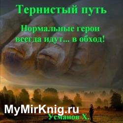 Тернистый путь. Нормальные герои всегда идут… в обход! (Аудиокнига)