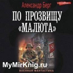 Антиблицкриг. По прозвищу «Малюта» (Аудиокнига)