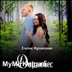 Дар небес (Аудиокнига)