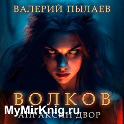 Волков. Апраксин двор (Аудиокнига)