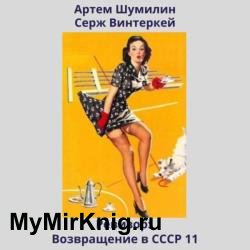 Ревизор: возвращение в СССР 11 (Аудиокнига)