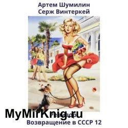 Ревизор: возвращение в СССР 12 (Аудиокнига)