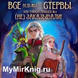 Все ведьмы – стервы, или Темных принцев мы (не) заказывали! (Аудиокнига)