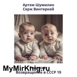 Ревизор: возвращение в СССР 19 (Аудиокнига)
