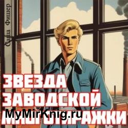 Звезда заводской многотиражки 1 (Аудиокнига)