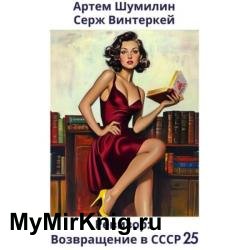 Ревизор: возвращение в СССР 25 (Аудиокнига)