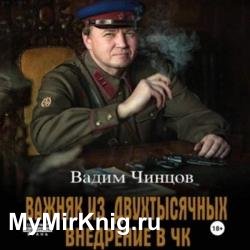 Важняк из двухтысячных. Внедрение в ЧК (Аудиокнига)