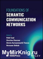 Foundations of Semantic Communication Networks