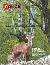 Поиск №17 2025